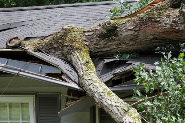 Cost of Storm Remediation in Yonkers