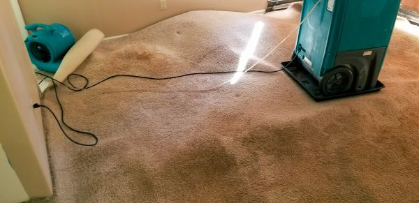 Cost of Flood Damage Cleanup in Yonkers