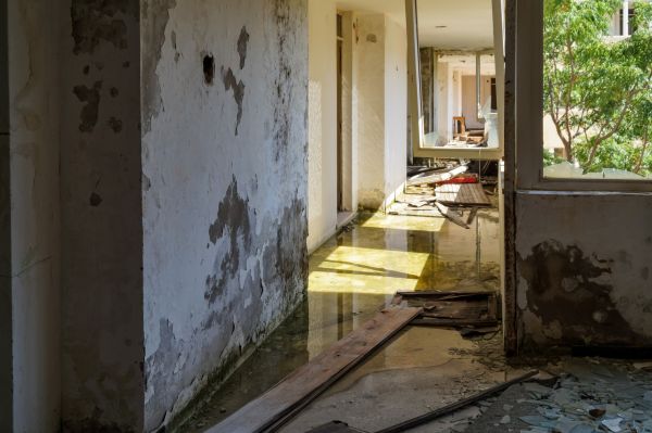 Cost of Water Removal Service in Yonkers