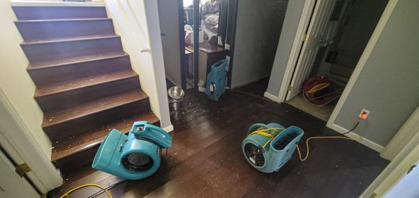 Cost of Water Damage Remediation in Yonkers