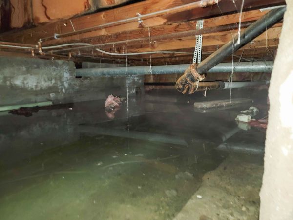 Cost of Water Mitigation Service in Yonkers