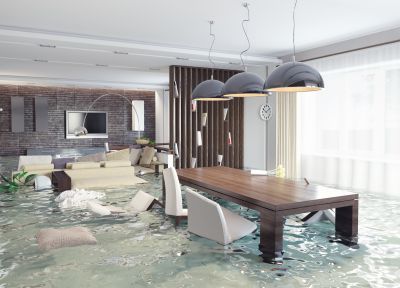 Flooded Property Recovery